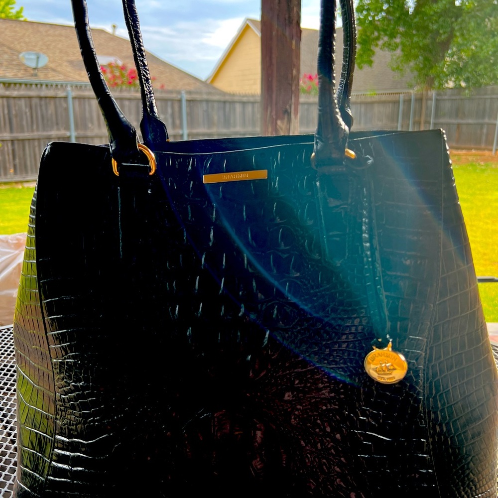 New Brahmin beautiful!